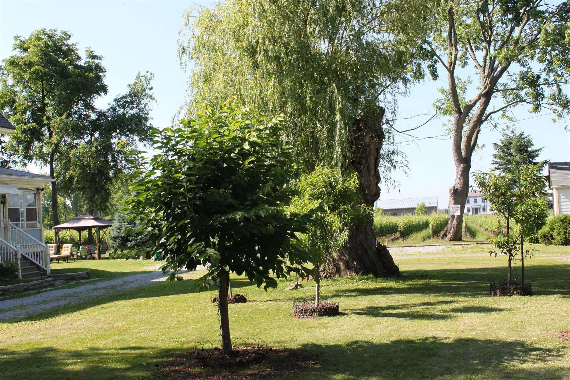 Green Oaks B&B Niagara-on-the-Lake Exteriér fotografie